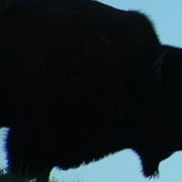Jeffrey Reavis Photo 4