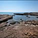 Sal Torre Photo 18