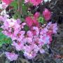 Martha Roberts Photo 6