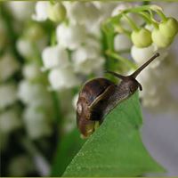 Christine Yoder Photo 14