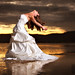 Steve Conti Photo 34