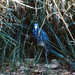 Kenneth Sheppard Photo 48