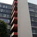 Rex James Photo 24