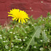 Heather Aiken Photo 19