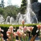 Gail Gordon Photo 9