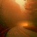 Misty Stevens Photo 15