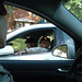 Jason Mccord Photo 12