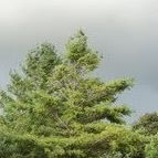 Douglas Withrow Photo 3
