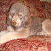 Jasmine Bailey Photo 17
