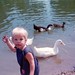 Scott Tingley Photo 10