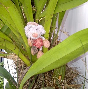 Lourdes Pelaez Photo 3