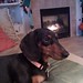 Brandy Henderson Photo 21