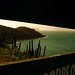 Joao Fernandes Photo 8