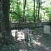 Sarah Wall Photo 22