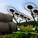 Wayne Hay Photo 13