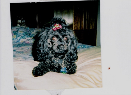Joann Jones Photo 6