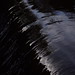 Kelvin Ross Photo 17