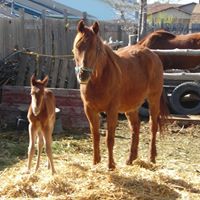 Christine Bowers Photo 25