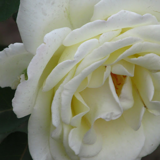 Samir Gupta Photo 29