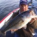 Fred Bass Photo 35