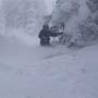 Shawn Wolfe Photo 32