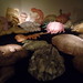Annette Hayward Photo 9