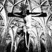 Jose Prieto Photo 32