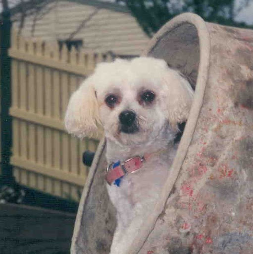Judith Watson Photo 8