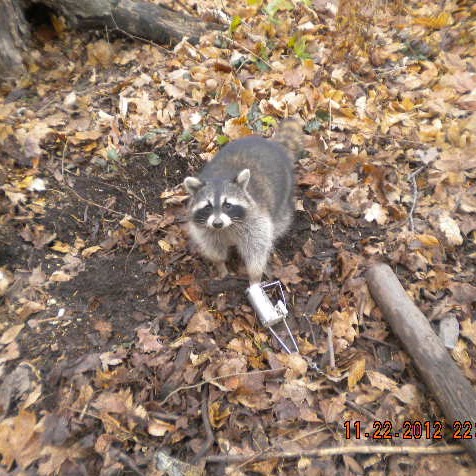 Kyle Weaver Photo 9