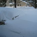 Donna Snow Photo 35