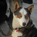 Joanne Mackey Photo 19
