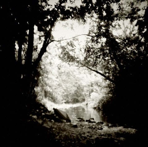 Brandon Rogers Photo 11