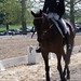 Karen Conner Photo 33