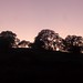 Stanford Hill Photo 12