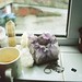 Debbie Kitchens Photo 5