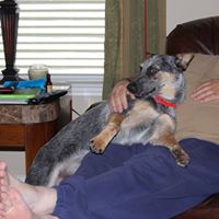 Gary Pratt Photo 32