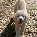 Charley Funk Photo 1