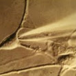 Bill Rust Photo 8