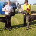 Dee Cooper Photo 36