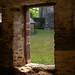 Joseph Volpi Photo 17