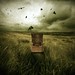Edgar Crow Photo 6