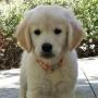 Mary Kays Photo 20