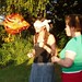 Lisa Singleton Photo 13