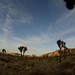 Joshua Barron Photo 7