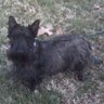 Kenneth Hill Photo 15