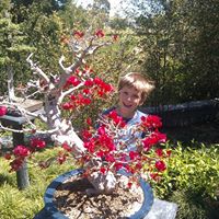 Max Mccormick Photo 15