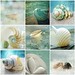 Jane Shell Photo 16