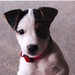 Jack Riley Photo 26