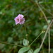 Li Huang Photo 8
