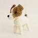 Jack Russell Photo 24